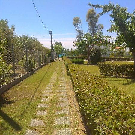 ניאה סקיוני Villa Nadia מראה חיצוני תמונה