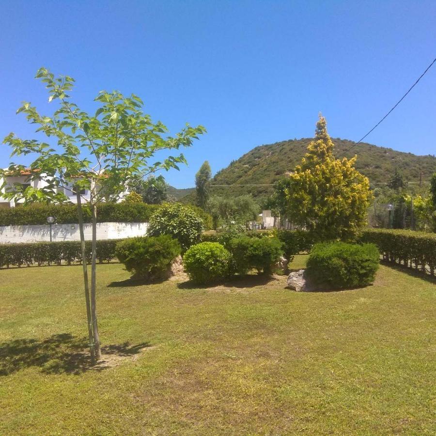 ניאה סקיוני Villa Nadia מראה חיצוני תמונה